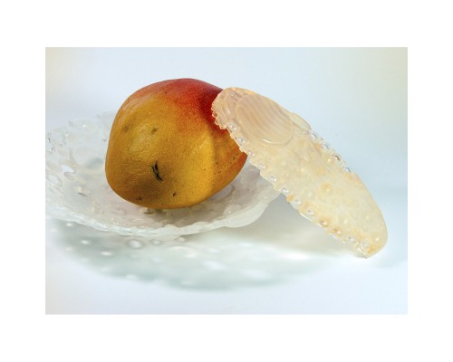 Багатоцільовий освіжувач повітря FRE-PRO Remind Air Curve Mango