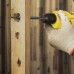 Безударная дрель STANLEY STDR5510C