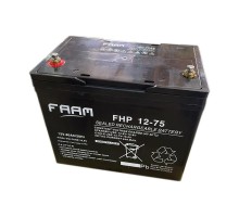 Свинцово-кислотный аккумулятор FAAM FHP12-75