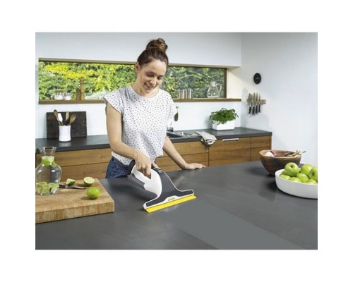 Оконный пылесос Karcher WV 6 Premium