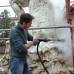 Дизельний парогенератор LAVOR GRAFFITI WASTER (10 м шланг)