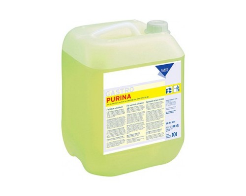 Професійний миючий засіб Kleen Purgatis Purina 10 l